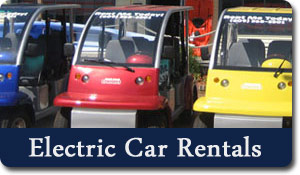 Electric Car Rentals in NJ