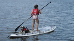 SUP Rental NJ