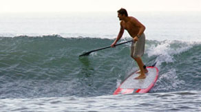 Paddleboard Rentals