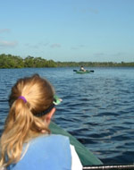 Wetlands Institute Kayak Tour