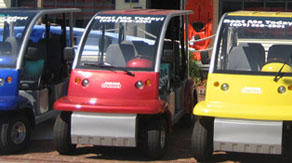 Electric Car Rentals in Ocean City NJ