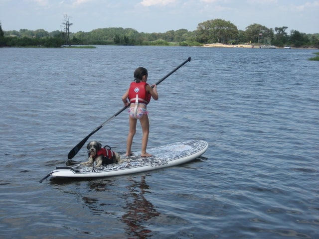 Paddleboarding with Your Dog