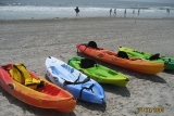 Kayaks for Rent