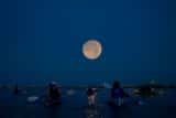 Moonlight Kayaking