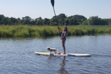 Paddleboard with Your Dog