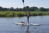 Paddleboard with Your Dog