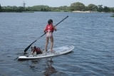 Paddleboarding with Your Dog