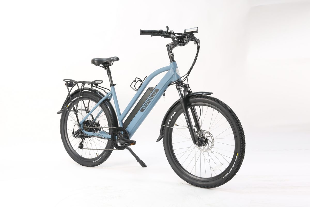 Trend Electric Bicycle